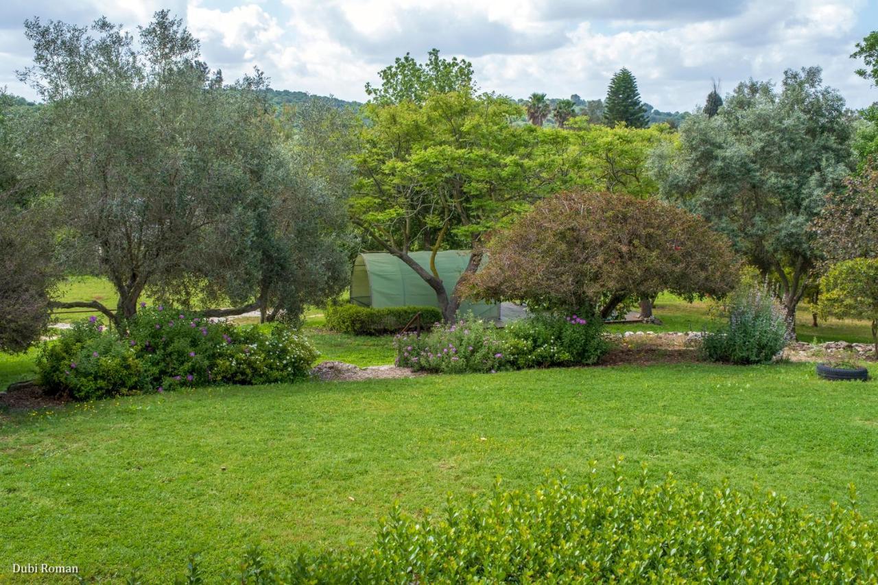 Villa Amikam Meshek 81 משק 81 עמיקם Exterior foto