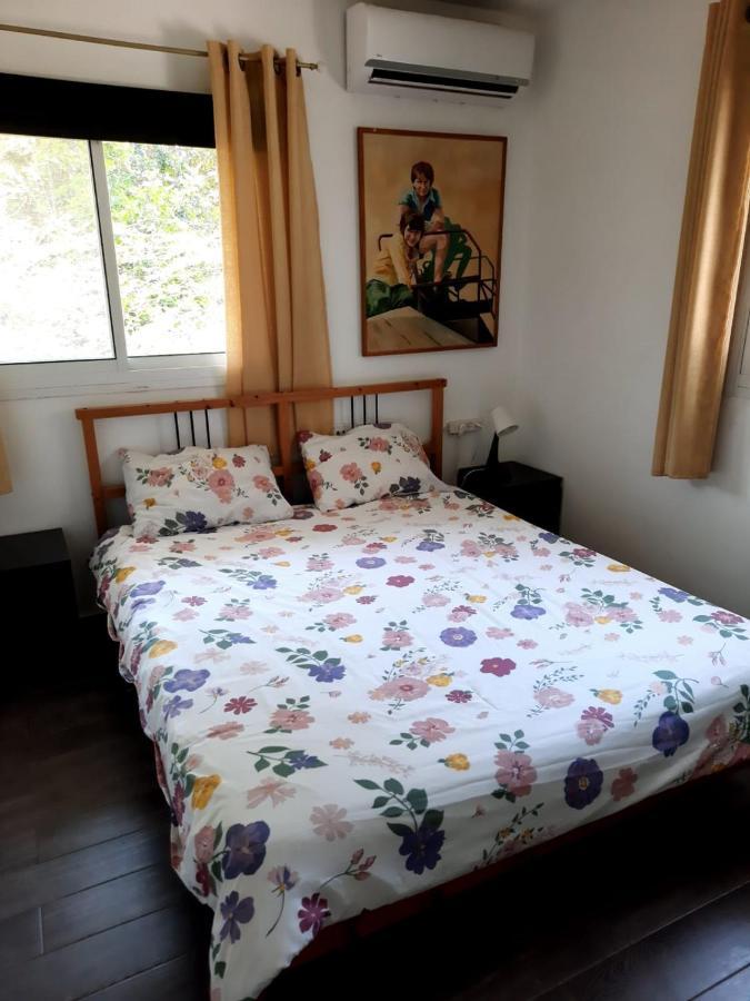 Villa Amikam Meshek 81 משק 81 עמיקם Exterior foto
