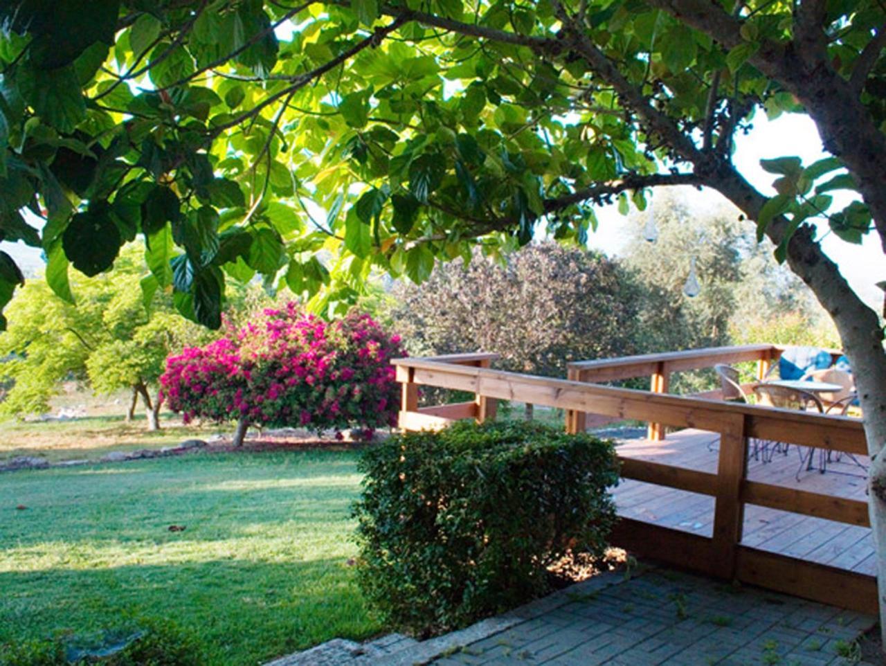 Villa Amikam Meshek 81 משק 81 עמיקם Exterior foto