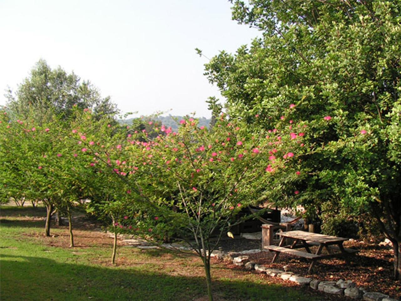 Villa Amikam Meshek 81 משק 81 עמיקם Exterior foto